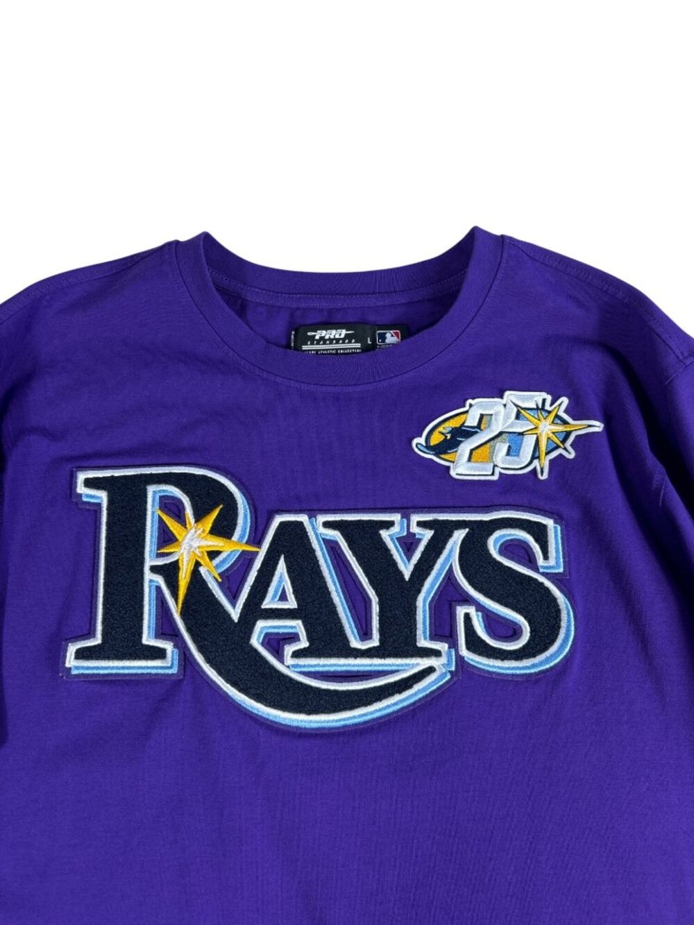 Tampa Bay Rays Pro Standard Embroidered T-Shirt Sz L 25th Anniversary MLB Purple - Picture 1 of 10